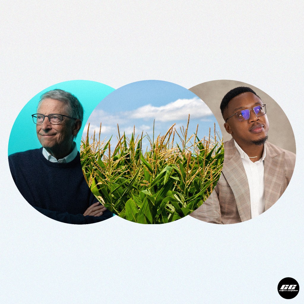 What Nigerians Are Missing in the Conversation About Bill Gates’ GM Seeds